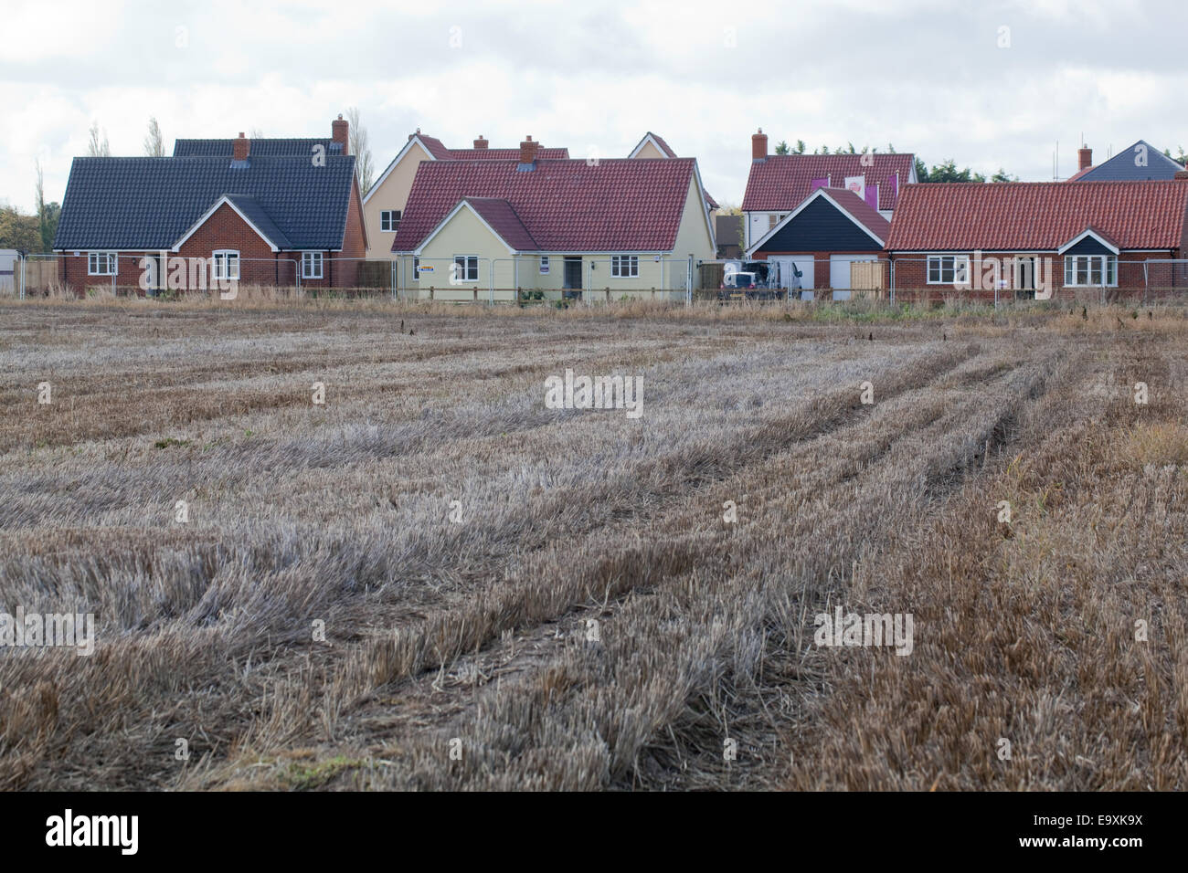 Neue Gehäuse. Expansion in "Green Belt". Norfolk. East Anglia. England. VEREINIGTES KÖNIGREICH. 2014. Stockfoto