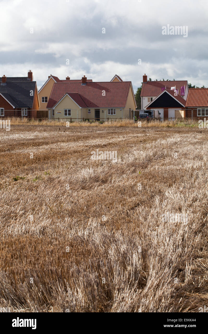 Neue Gehäuse. Expansion in "Green Belt". Norfolk. East Anglia. England. VEREINIGTES KÖNIGREICH. Stockfoto