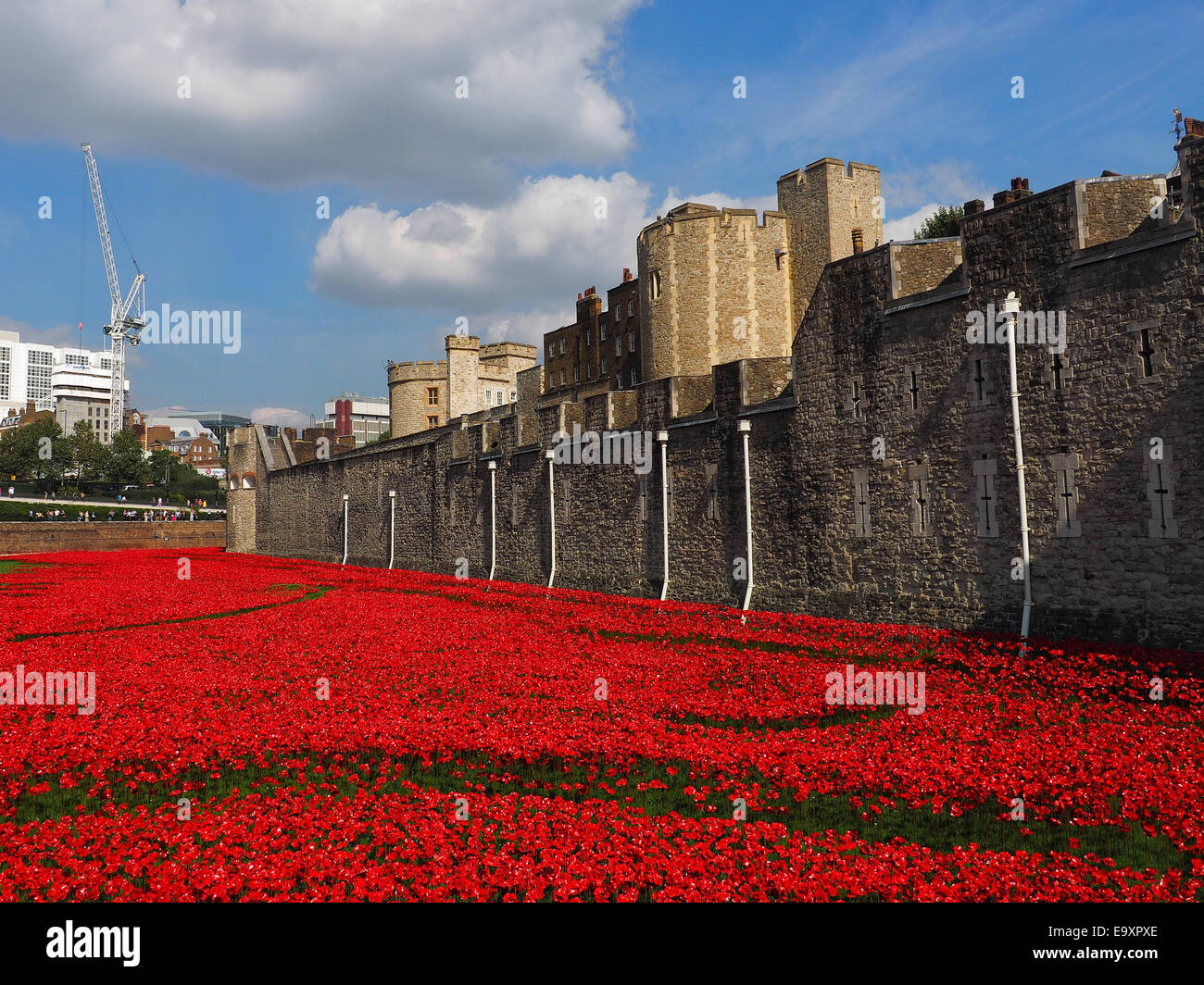 Rote Mohnblumen Kunst Installation auf den Tower of London Graben zum Gedenken an den ersten Weltkrieg Stockfoto