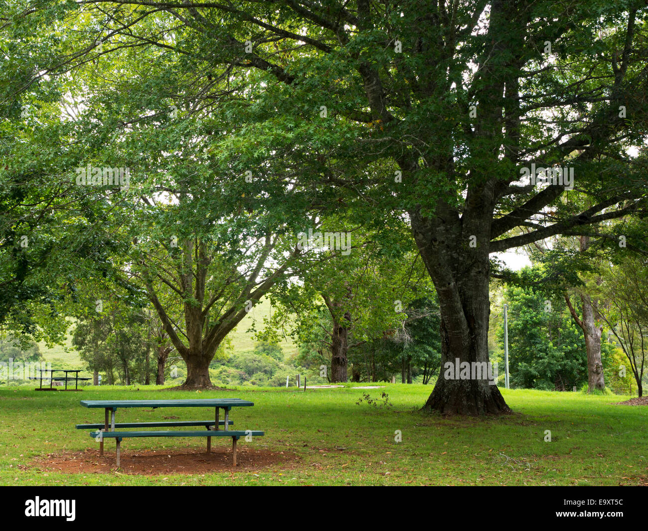 Grüne Gartenlandschaft mit großen Bäumen Stockfoto