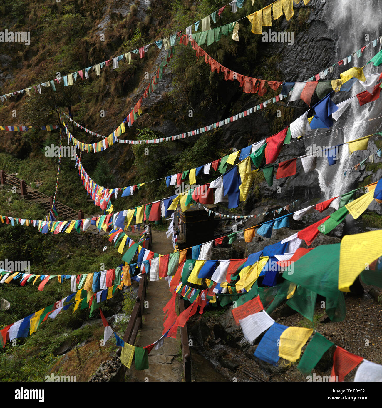 Gebetsfahnen hanging in Taktsang Kloster, Paro-Tal, Bezirk Paro, Bhutan Stockfoto