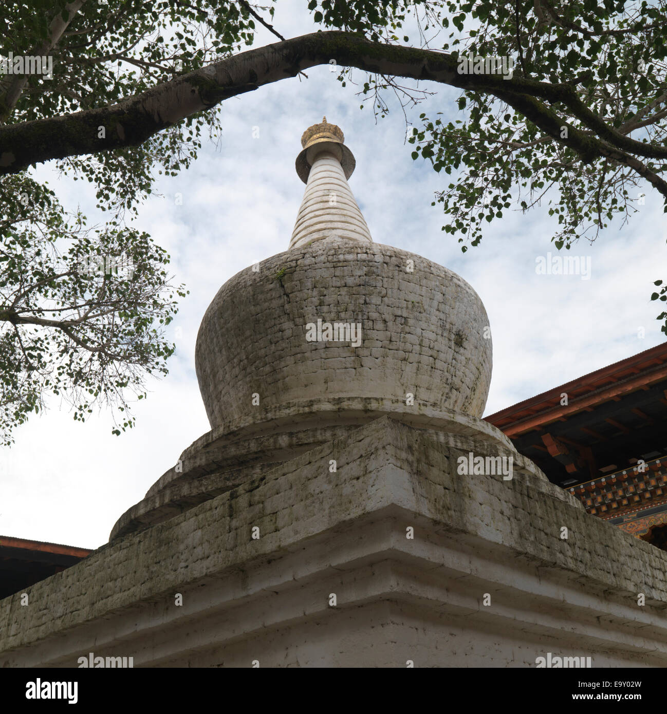 Niedrigen Winkel Ansicht eines Stupa im Punakha Kloster, Punakha, Bhutan Stockfoto