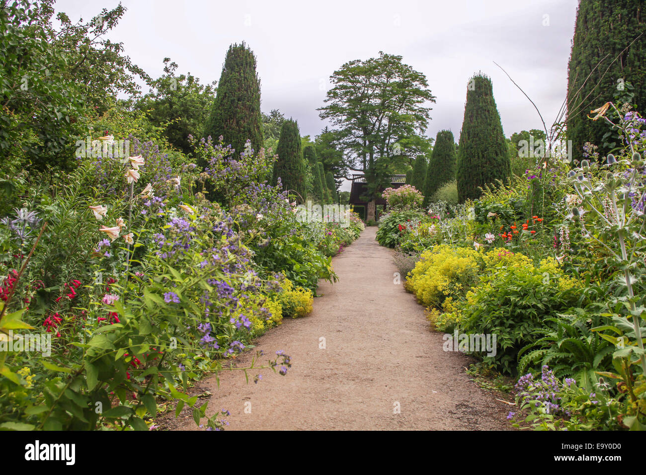 Lucious englischer Garten mit bunten Blumen Stockfoto