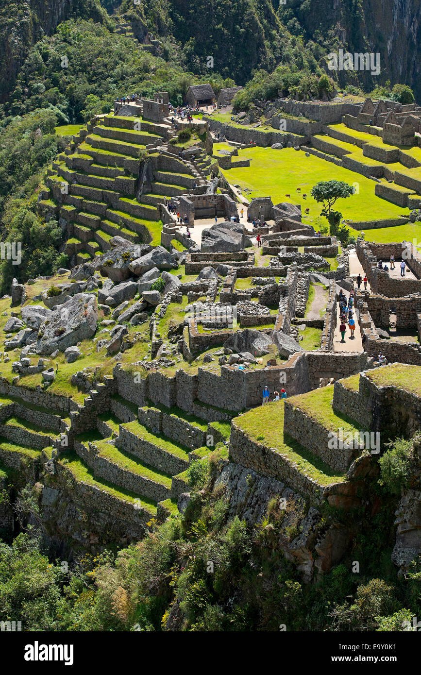Ruinenstadt der Inkas, Machu Picchu, Peru Stockfoto