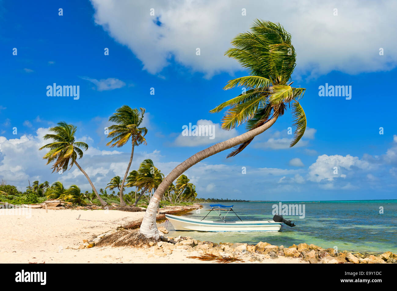 Palmen und ein Boot am Strand, Costa Maya, Quintana Roo, Mexiko Stockfoto