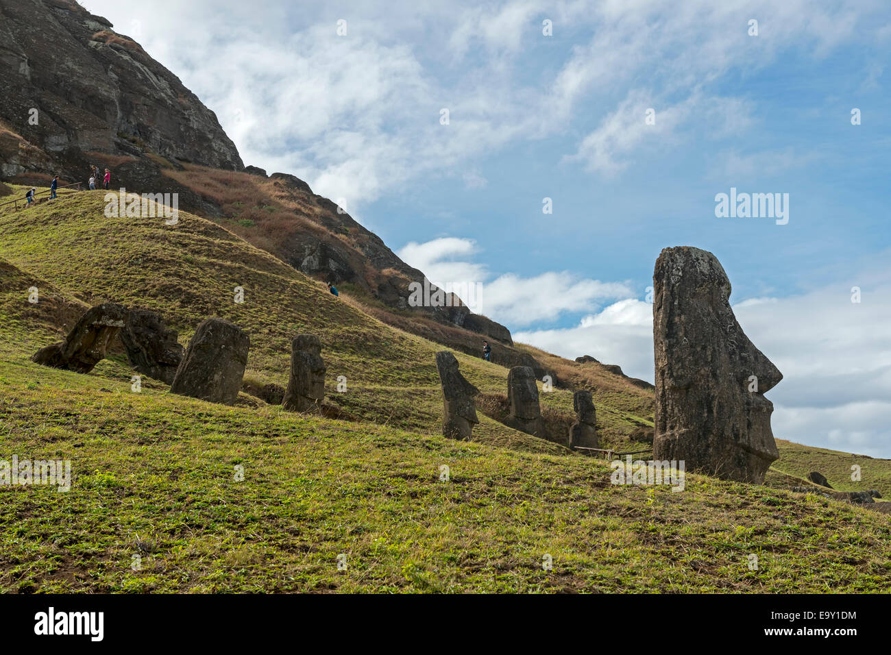 Gruppe der Moai, die Körper in der Erde vergraben sind, die Köpfe sind nur sichtbar, Rano Raraku, Osterinsel, Chile Stockfoto