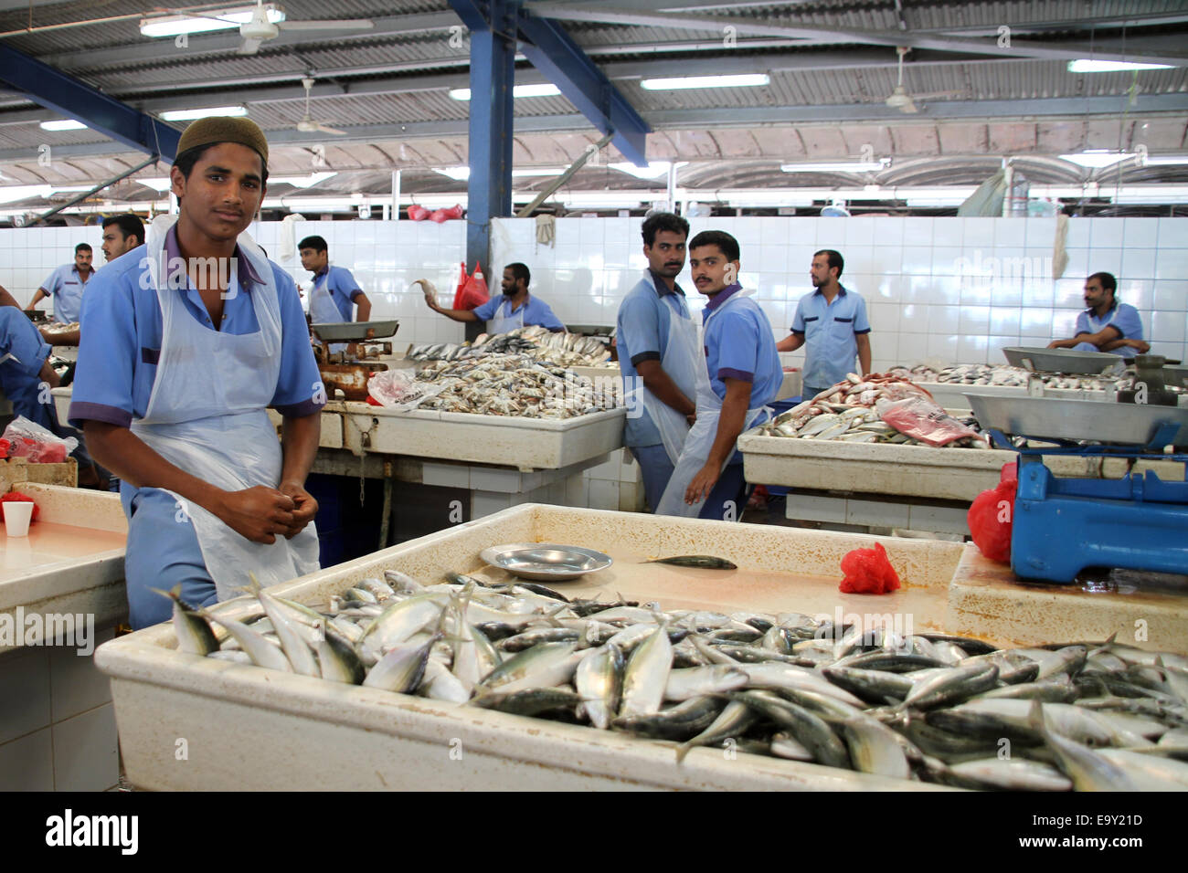 Markthändler auf dem Fischmarkt von Deira in Dubai, Vereinigte Arabische Emirate Stockfoto