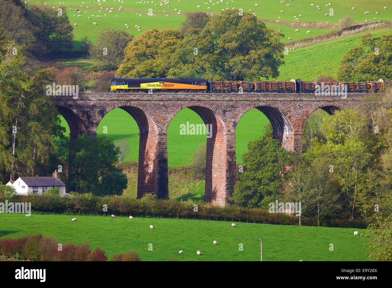 Colas Rail Freight train auf trockenen Beck-Viadukt, Armathwaite, Eden Valley, Cumbria, England, UK. Stockfoto