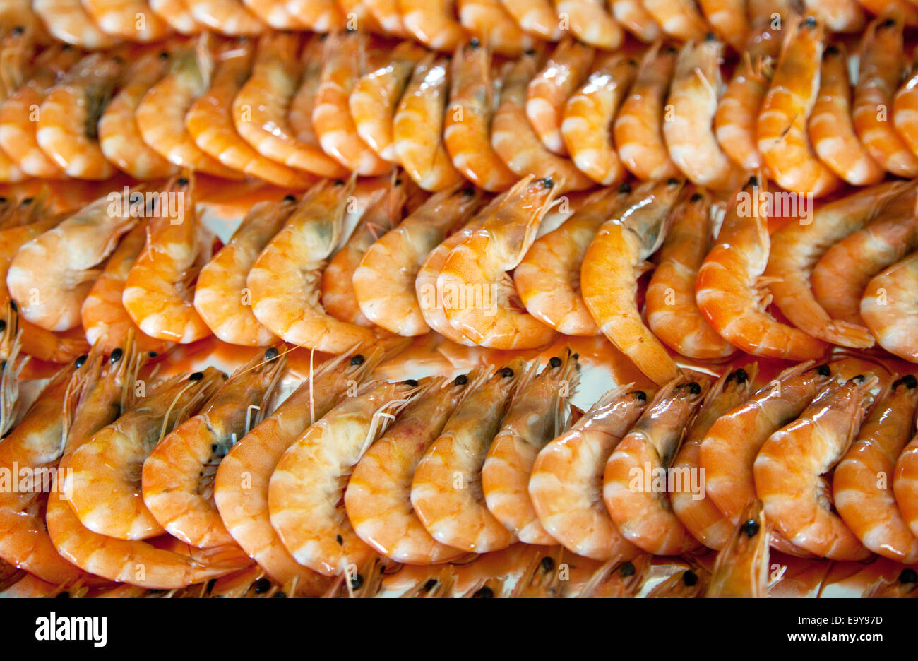 Bambus garnele -Fotos und -Bildmaterial in hoher Auflsung  Alamy