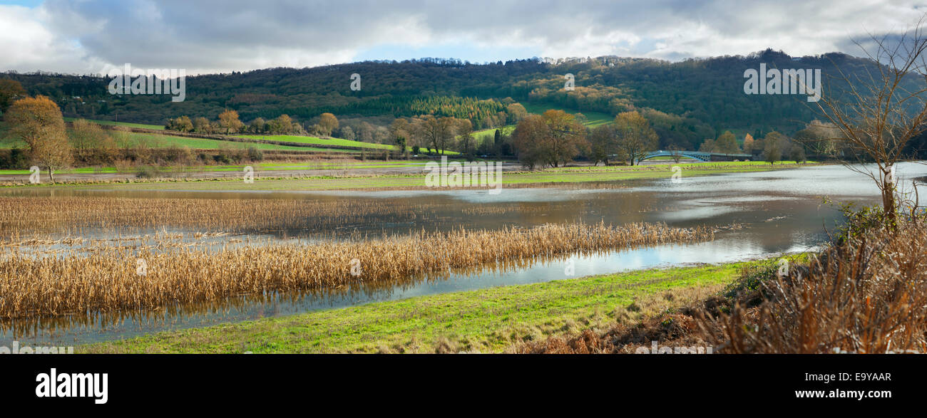 Überfluteten Ackerland entlang des Flusses Wye am Bigsweir auf der Gloucestershire, Monmouthshire Grenze. Stockfoto