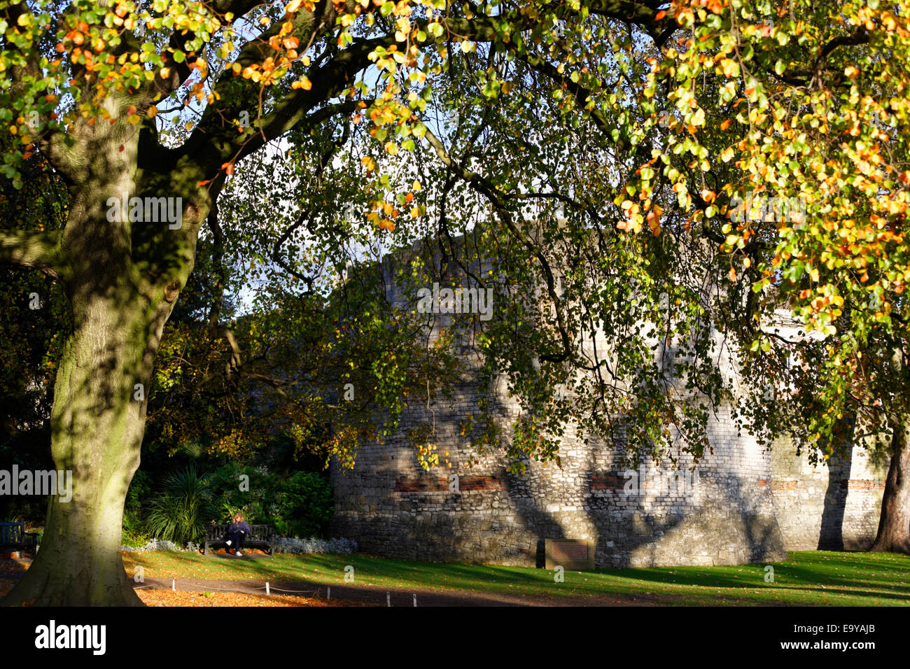 Eboracum im Herbst, Museum Gärten, York, North Yorkshire, England Stockfoto