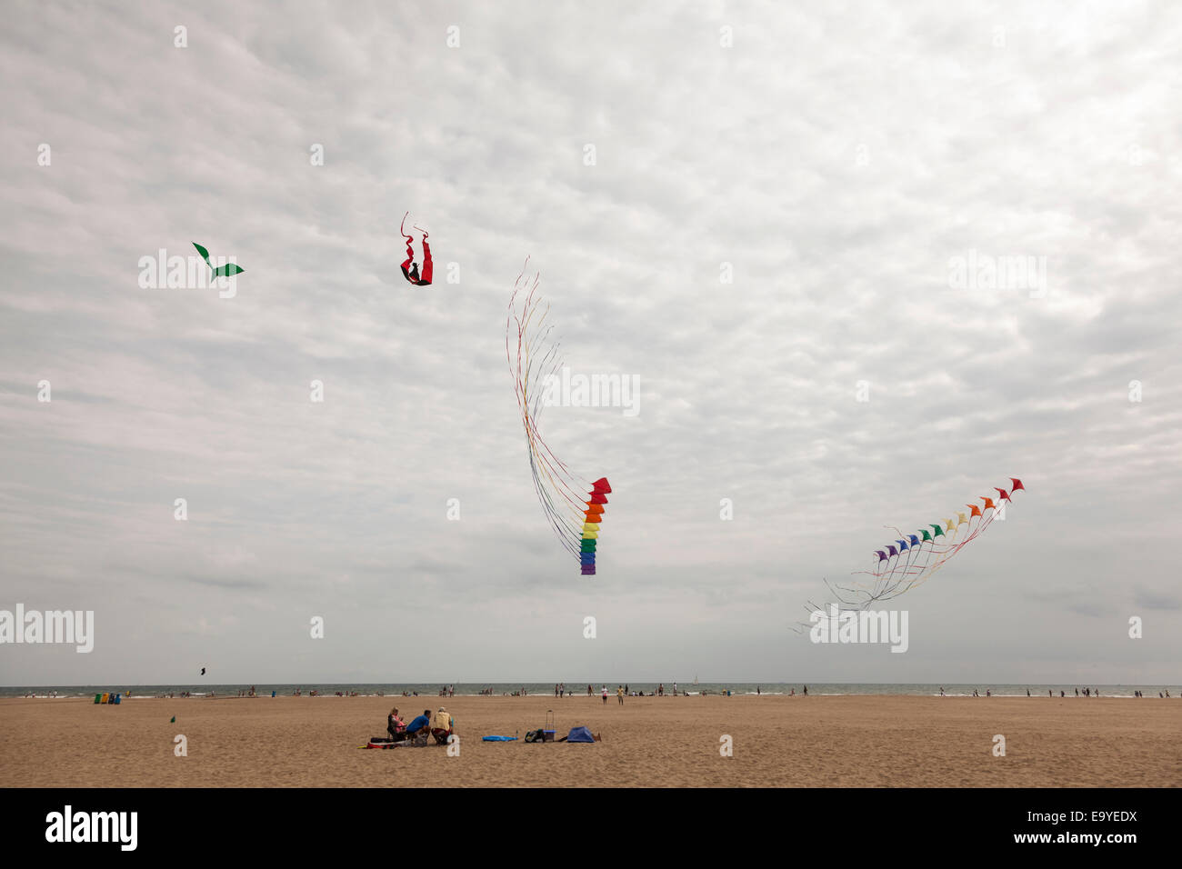 Drachenfliegen vom Strand in Valencia, Spanien. Stockfoto