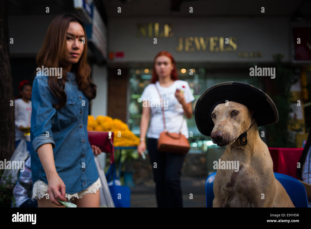 Thai Transvestiten "Lady-Boy" eine Spende an alten gelähmten Hund Besitzer. Stockfoto