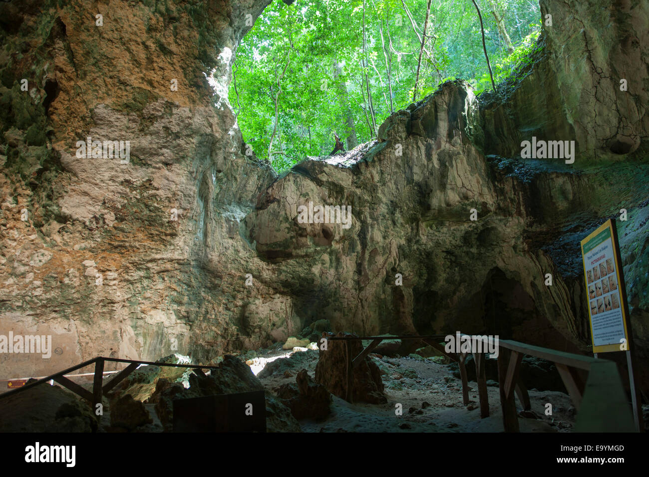 Dominikanische Republik, Osten, Sabana De La Mar, Nationalpark Los Haitises, Cueva De La Linea Stockfoto