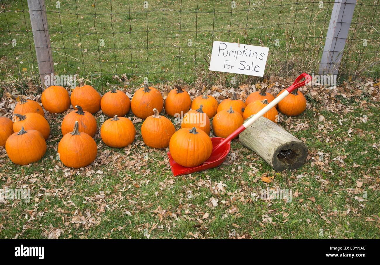 Eine rote Schaufel und ein altes Protokoll als Hebel und Dreh-und Angelpunkt bei einem Kürbisfeld verwendet wird Stockfoto