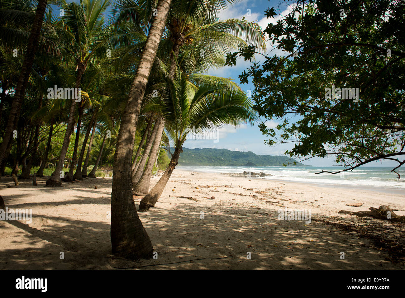 Santa Teresa Beach, Costa Rica Stockfoto