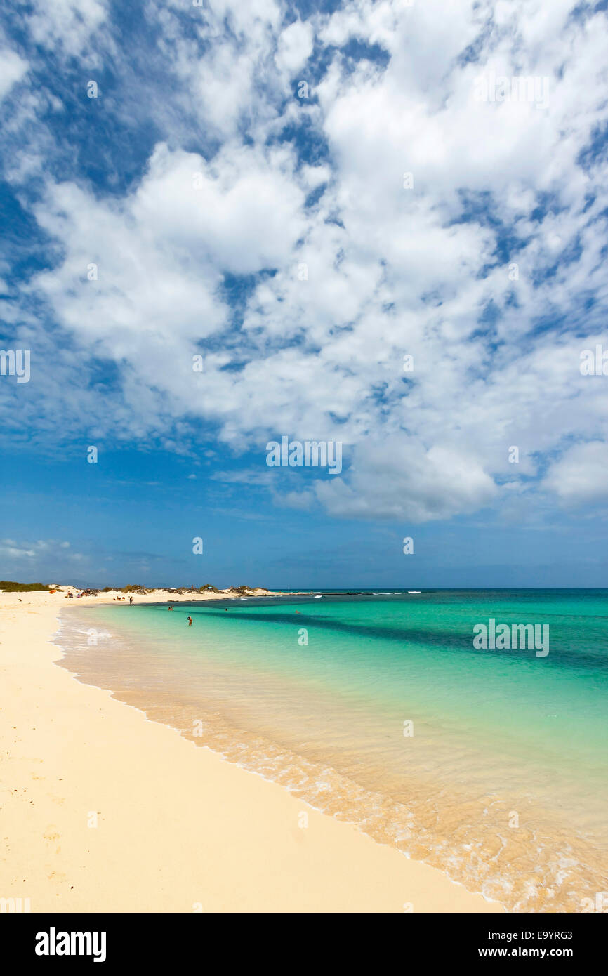 Blick nach Norden auf einem der schönen Sandstrände südlich von diesem Ferienort; Corralejo, Fuerteventura, Kanarische Inseln, Spanien Stockfoto