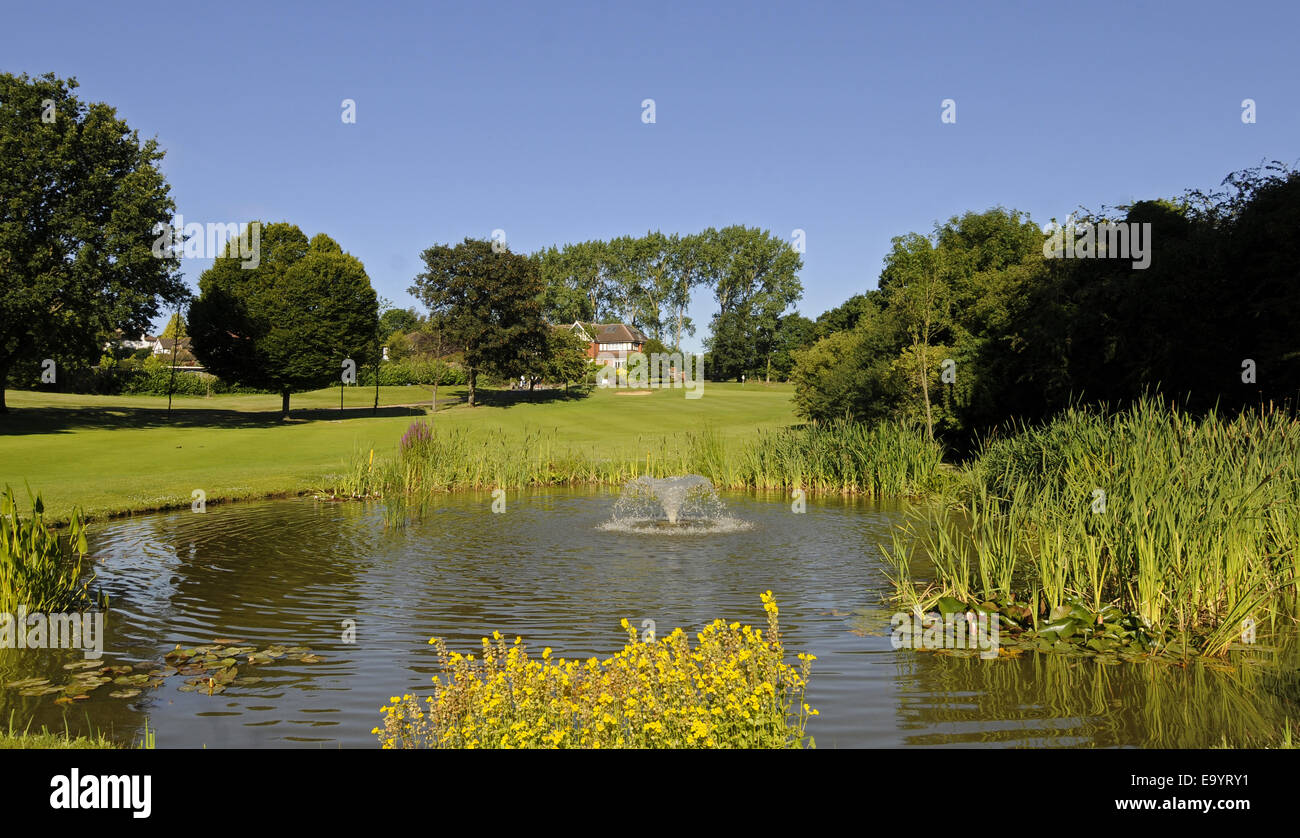 Blick über den Teich mit Wildblumen, 18. Green East Course Sundridge Park Golf Club Bromley Kent England Stockfoto