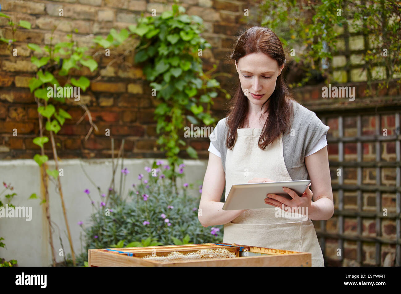 Imker mit "Super" von Bienenstock mit Touchscreen auf digital-Tablette Stockfoto