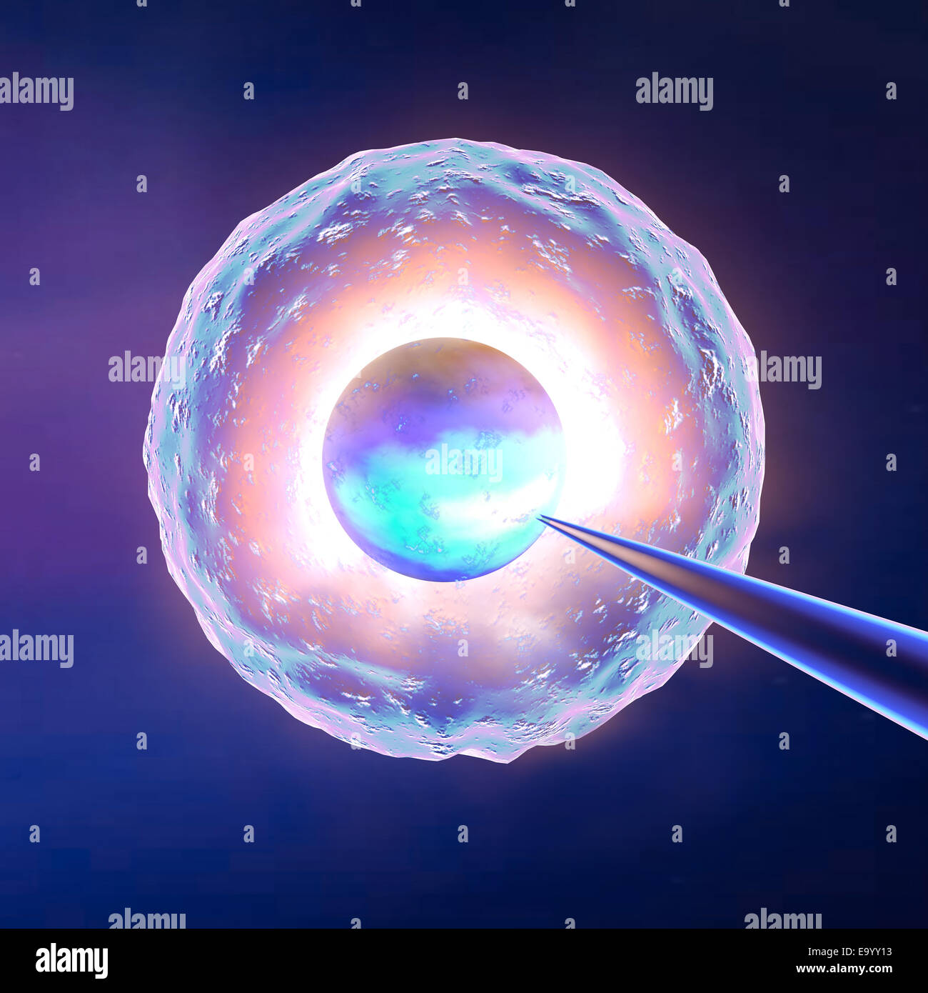 Künstliche Befruchtung auf blauem Hintergrund Stockfoto