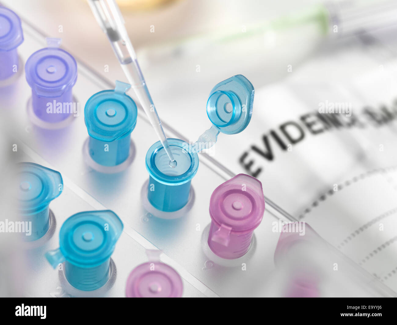 Pipettieren DNA-Probe von Tatort in Fläschchen für forensische Tests im Labor gesammelt Stockfoto