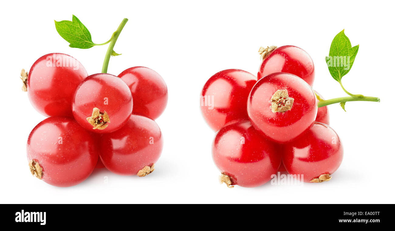 Rote Johannisbeeren, isoliert auf weiss Stockfoto