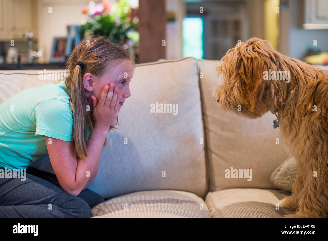 Junges Mädchen sitzen Auge in Auge mit Hund Stockfoto