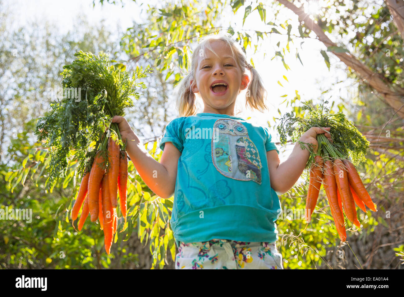 Porträt eines Mädchens im Garten hält Bund Karotten Stockfoto