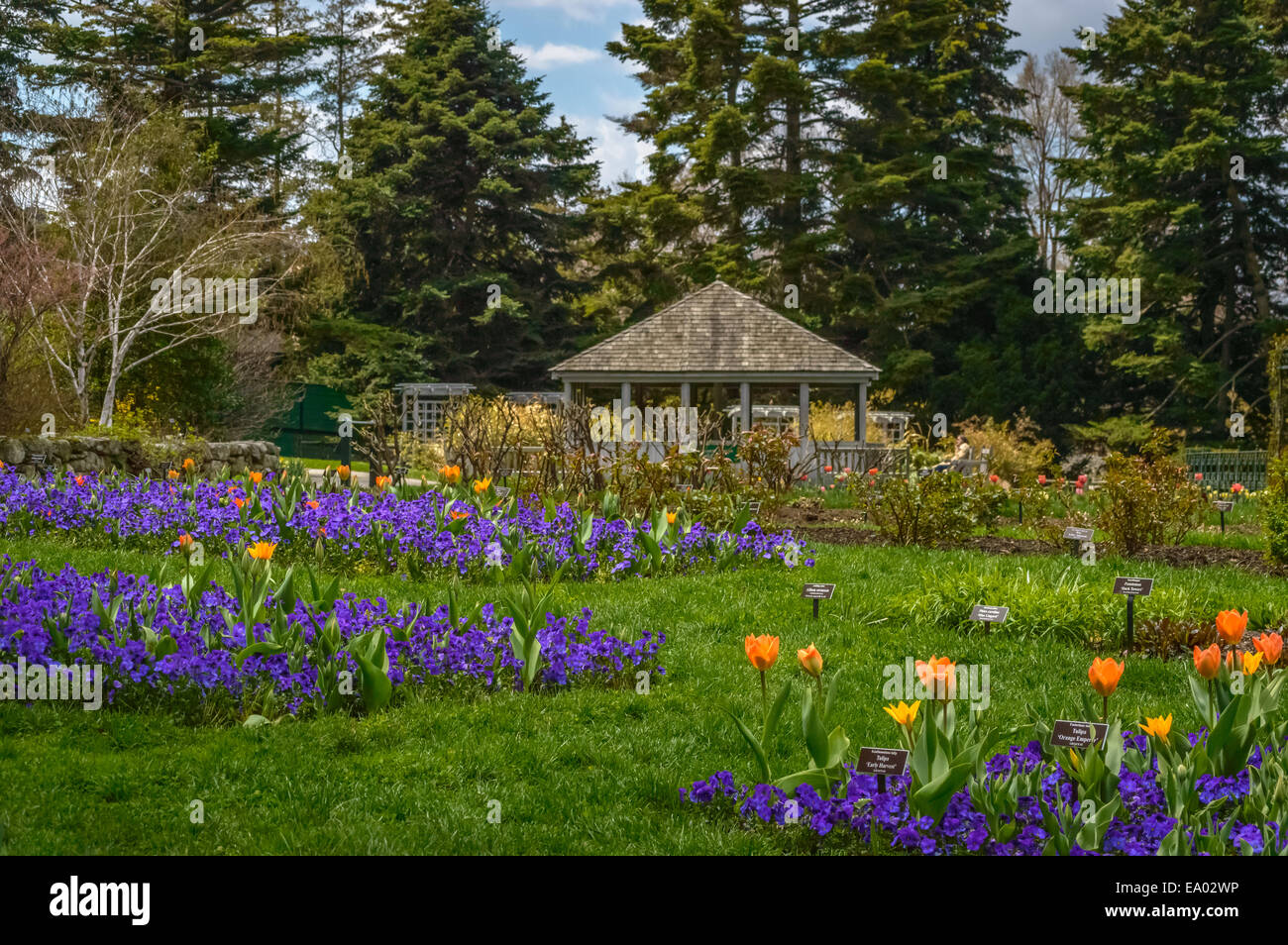 Tulpe Garten mit eine Torheit, immergrüne Bäume und Himmel Stockfoto