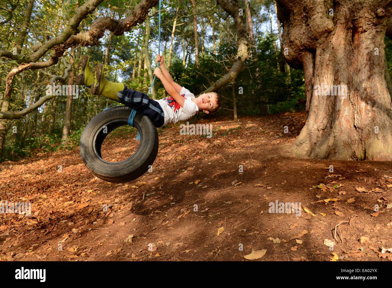 Kleiner junge Kind schwingen am Seil und Auto Reifen Baum im Wald Abenteuerpark Großbritannien Uk Stockfoto