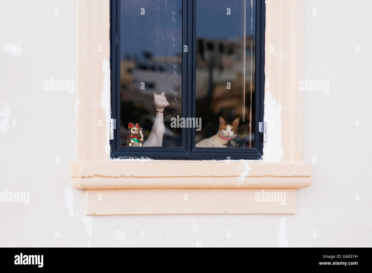 Katze und Porzellan Katzen In einem Fenster, Marsaxlokk, Malta Stockfoto