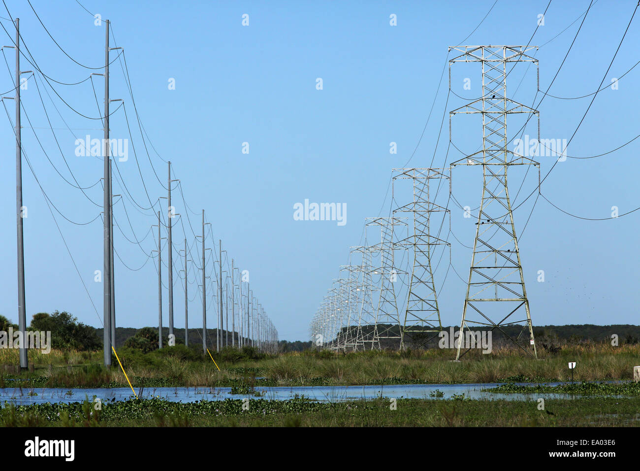Linien von Stromkabeln in den Feuchtgebieten des St. Johns River in der Nähe von Weihnachten in Orange county in Florida, USA 10. Oktober 2014 Stockfoto