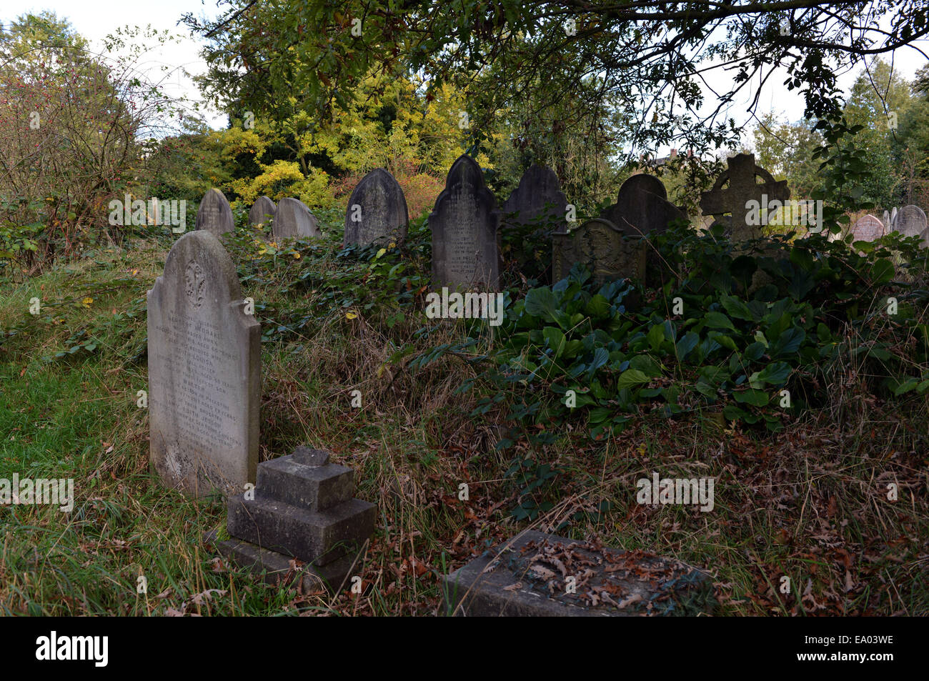 Überwucherten Rasen und Unkraut unter den Grabsteinen auf dem Brockley und Ladywell Cemetery in London Stockfoto