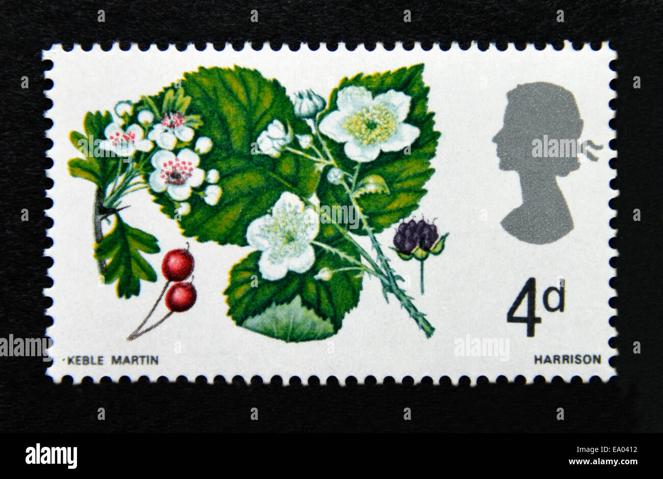 Briefmarke. Great Britain. Königin Elizabeth II. Britische Wildblumen. 1967. Weißdorn und Brombeere. 4D. Stockfoto