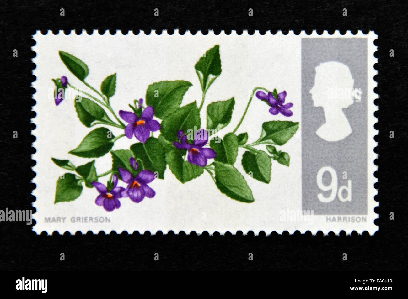 Briefmarke. Great Britain. Königin Elizabeth II. Britische Wildblumen. 1967. Hund violett. 9d. Stockfoto