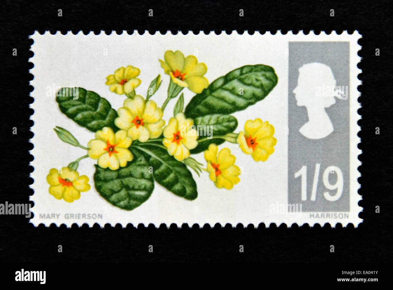 Briefmarke. Great Britain. Königin Elizabeth II. Britische Wildblumen. 1967. Primeln. 1/9. Stockfoto