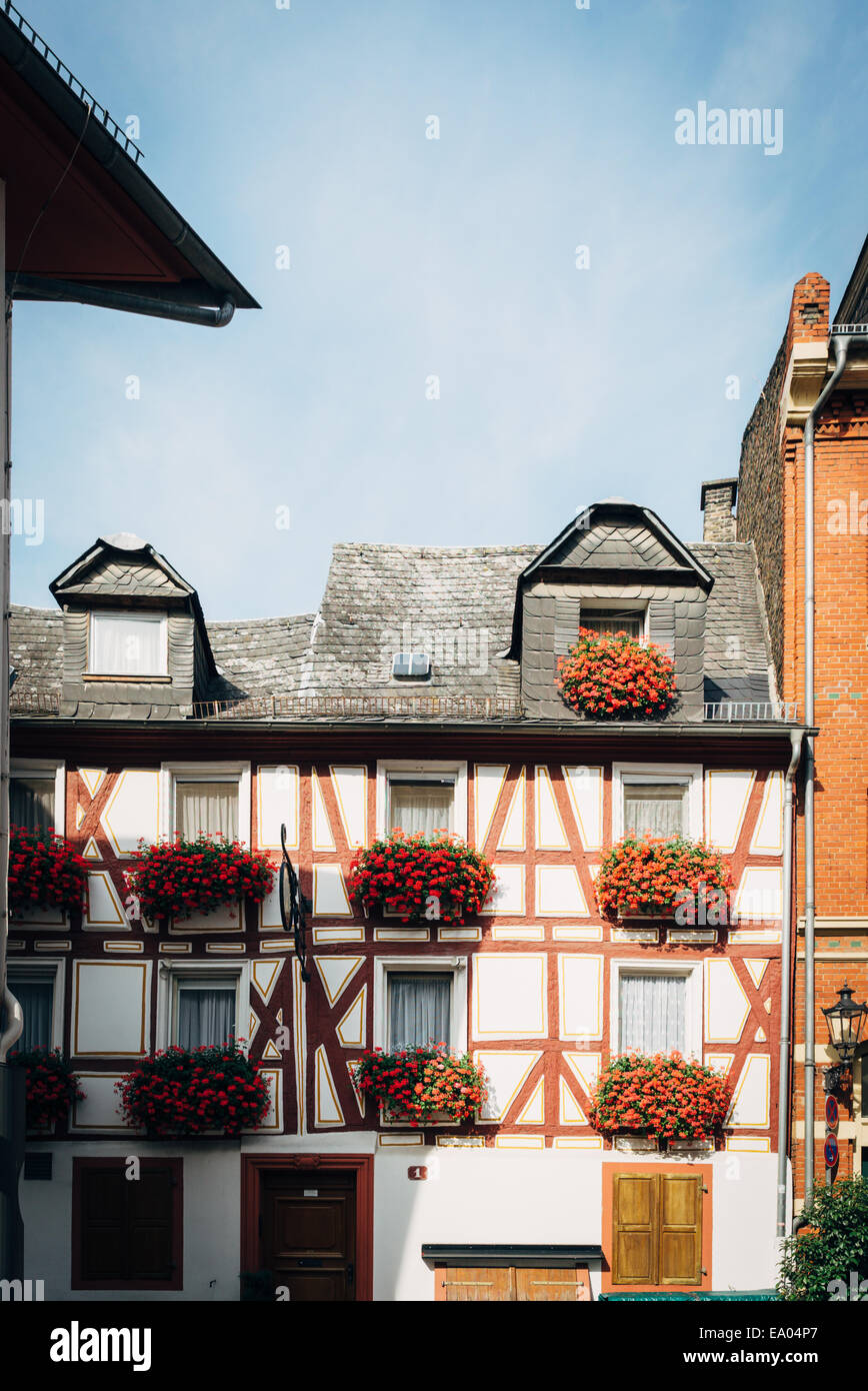 Ein Gebäude mit Blumen in den Fenstern in Mainz, Deutschland Stockfoto