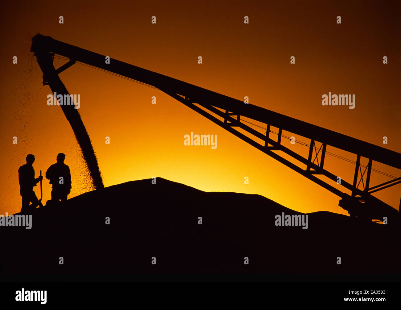Landwirtschaft - Silhouette der Arbeitnehmer und der Mais wird auf ein Überlauf Stapel in einem Getreidesilo sagte / Minnesota, USA. Stockfoto