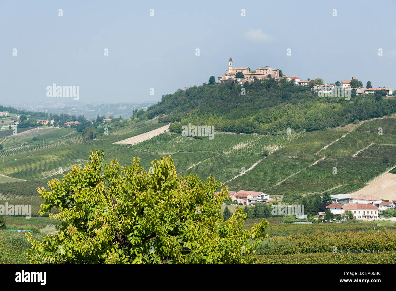 Italien, Panorama über die Weinberge des Piemonts: Langhe Roero und Monferrato auf der World Heritage Liste UNESCO: Panorama des S.Marzano O. Stockfoto