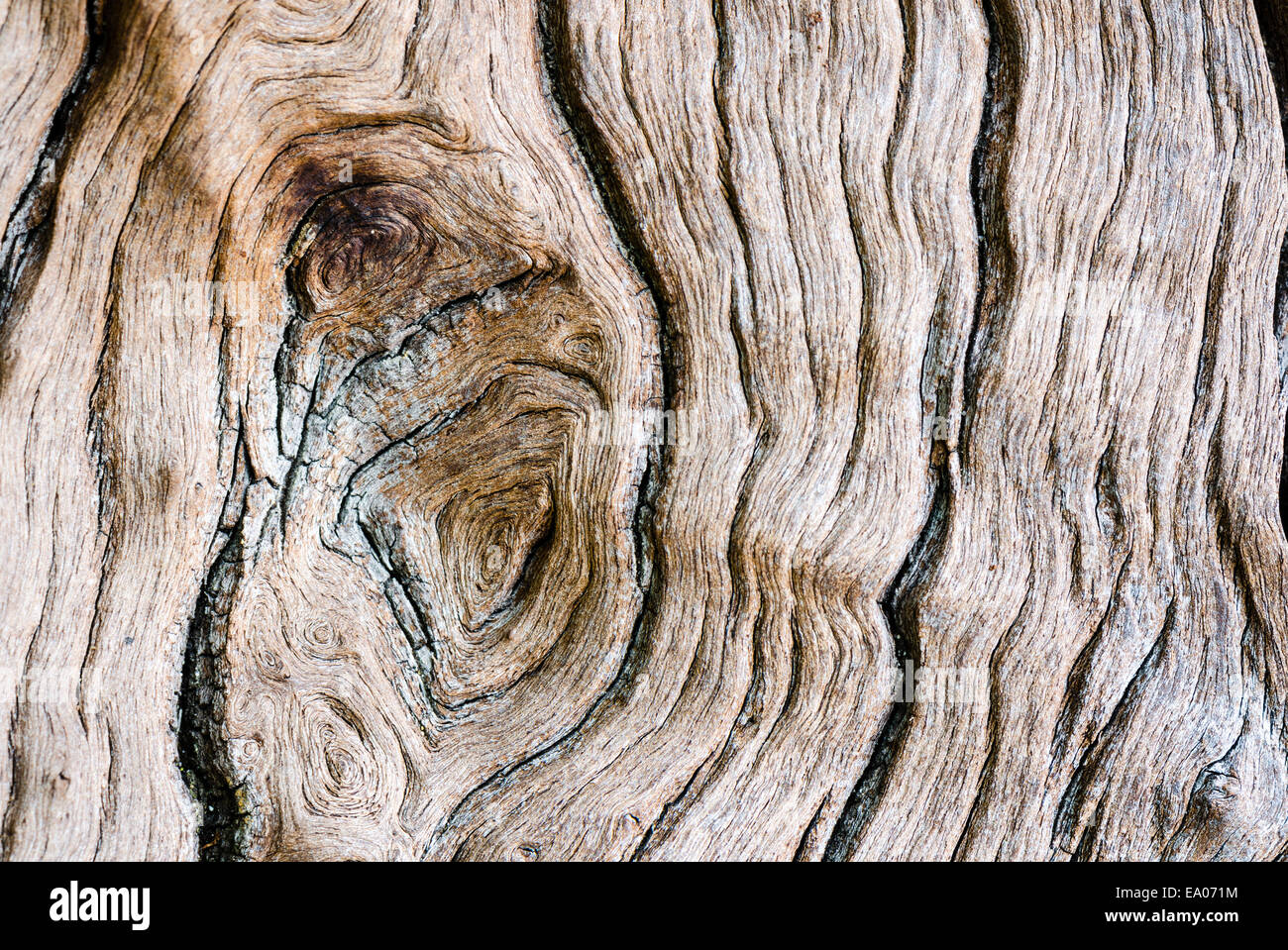 Textur der alten Holz in der Natur, das Wasser-Erosion ist. Stockfoto