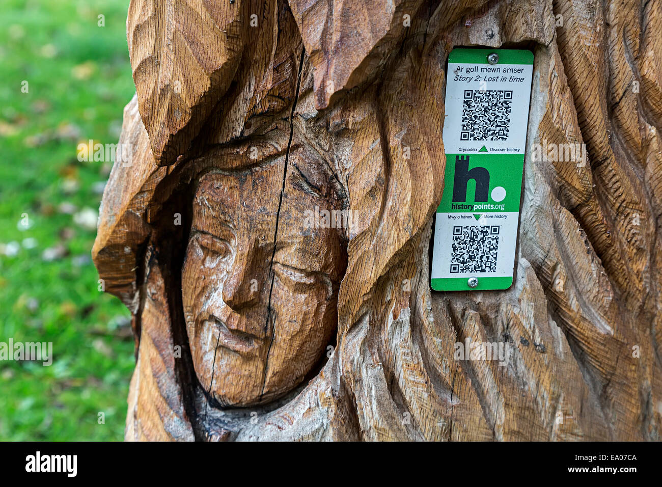 Geschnitzte hölzerne Gesicht mit QR-Code, Pentrefoelas, Conwy, North Wales, UK Stockfoto
