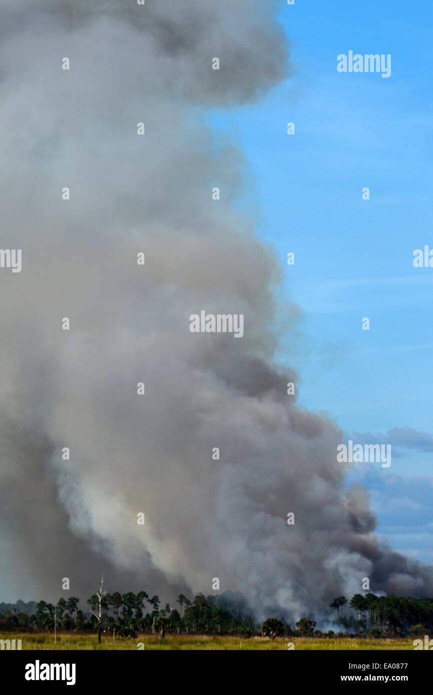 Kontrolliertes Brennen gegangen Süd Stockfoto