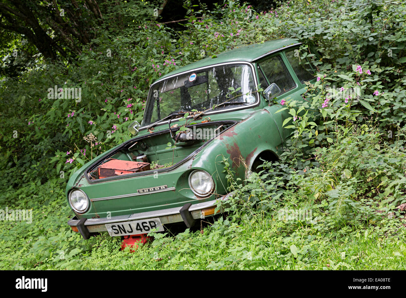 Skoda Auto im Wald aufgegeben und überwuchert, Abergavenny, Wales, UK Stockfoto