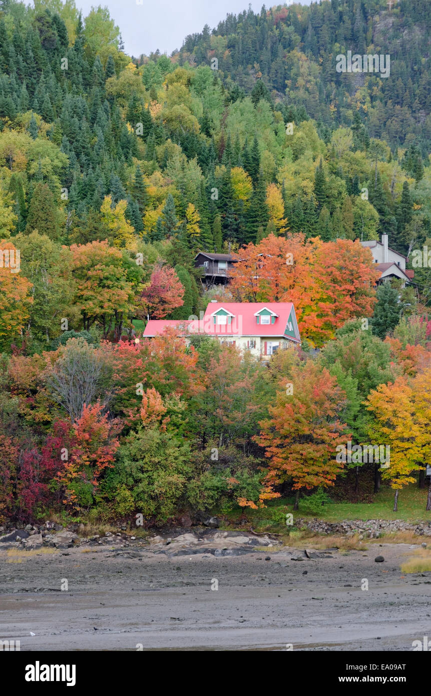 Schöne Häuser am Hang, umgeben von bunten Herbstlaub Stockfoto