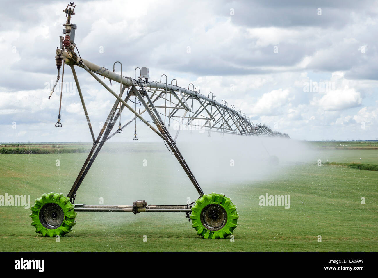 Indiantown Florida, Center Pivot Bewässerungsausrüstung, Center, automatisiert, Rasen Bauernhof, Gras, Bewässerung, Wasser, FL140803064 Stockfoto