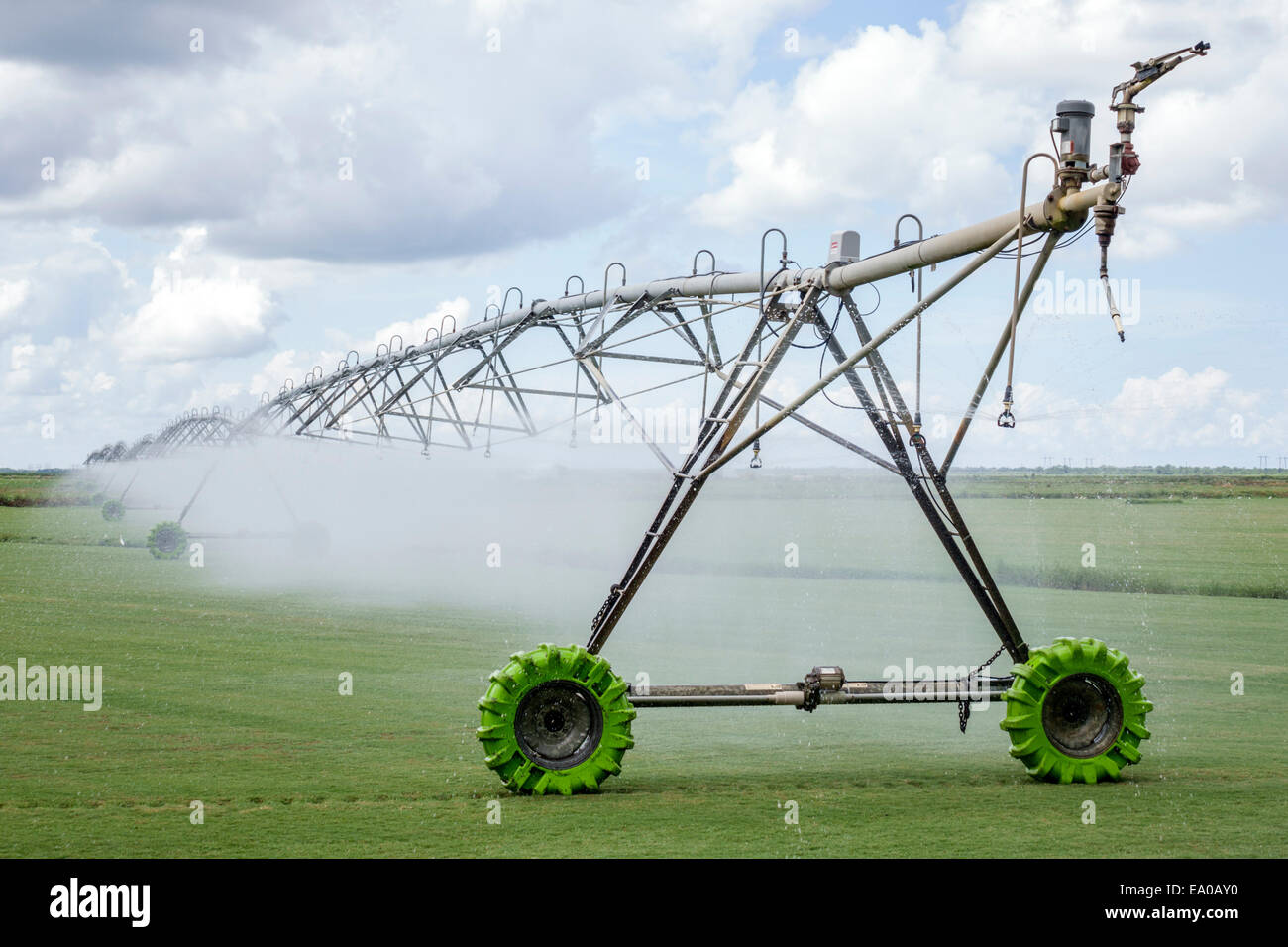 Indiantown Florida, Center Pivot Bewässerungsausrüstung, Center, automatisiert, Rasen Bauernhof, Gras, Bewässerung, Wasser, FL140803065 Stockfoto