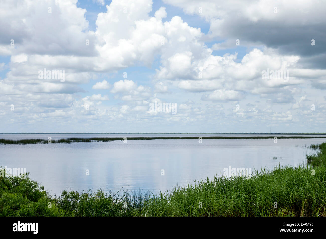 Florida Lake Okeechobee, Wasser, Himmel, Wolken, FL140803070 Stockfoto