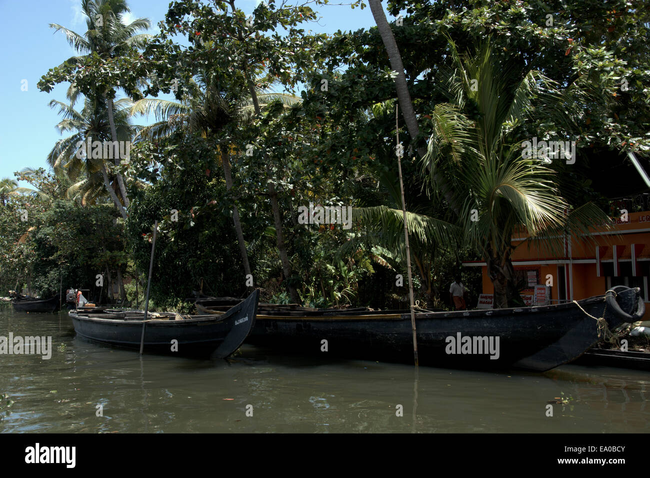 Shikari Kanu Boot auf den Backwaters, Allepey, Kerala, Indien, Südasien. Stockfoto