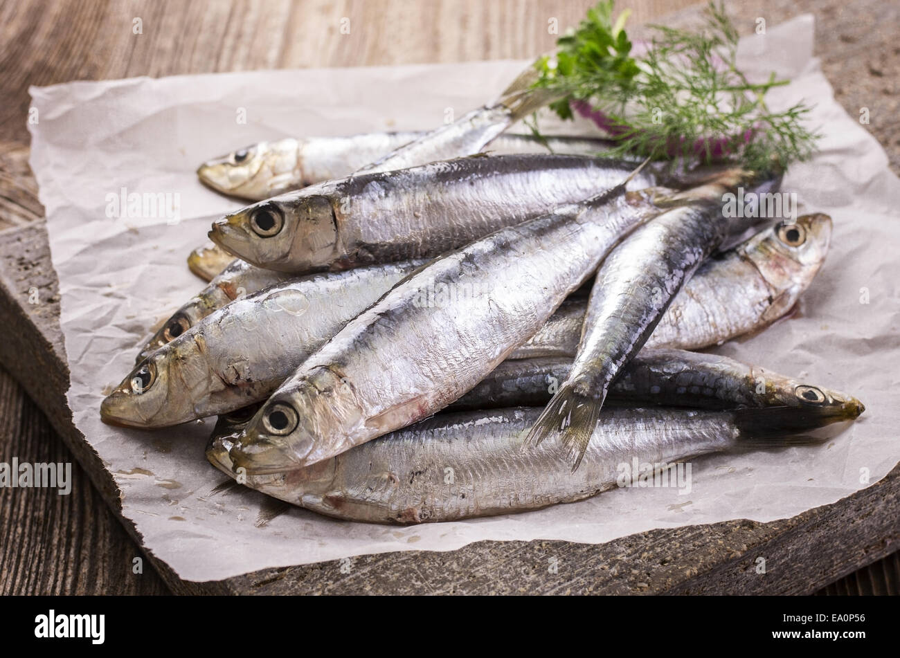 frische Sardinen Stockfoto