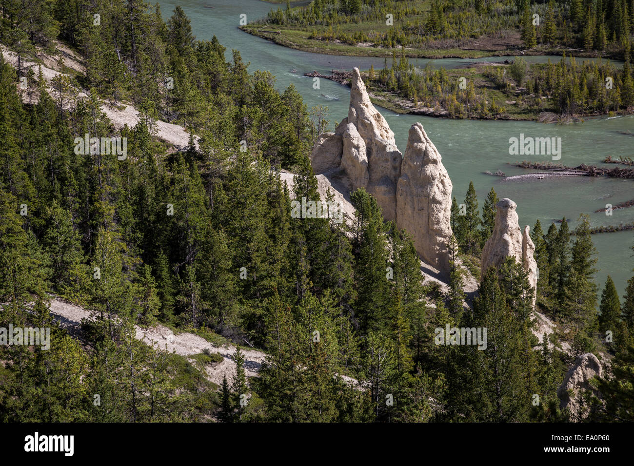 Rock Hoodoos, Banff Nationalpark, Alberta, Kanada, Nordamerika. Stockfoto